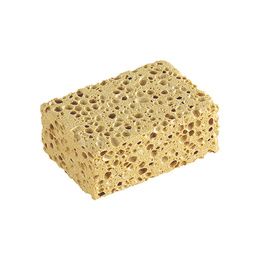 Eponge