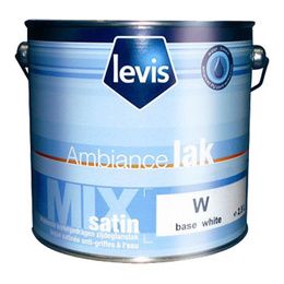 Peinture multi-support